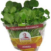Agrião Hidropônico (maço)
