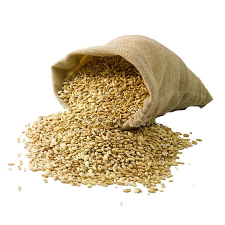 Trigo Pelado Mote 500g