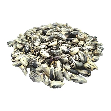 Milho Boliviano Andino Cancha Serrana Negra 500g