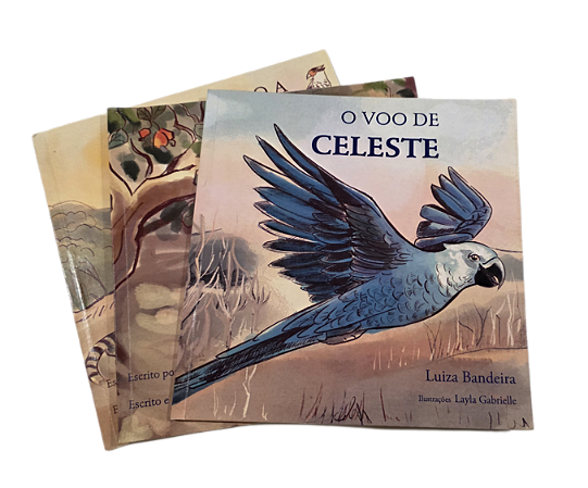 Coleção de Livros ilustrados: Conhecendo o bioma da caatinga (venda mínima 20 kits com 3 livros cada)