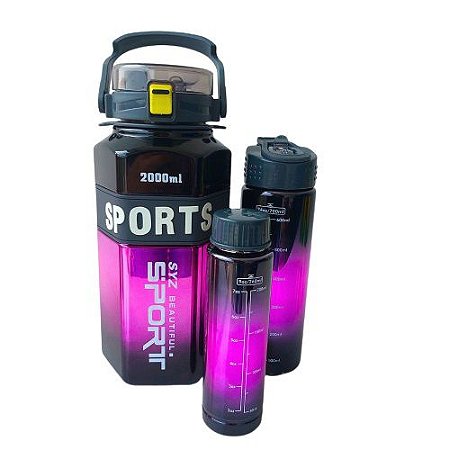Kit 3 Garrafas Metalizadas 2l 700ml 260ml Com Canudo E Alça Preto