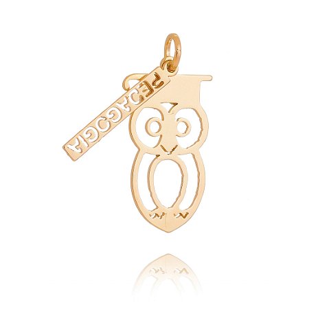 PINGENTE DE PROFISSÃO PEDAGOGIA FOLHEADO A OURO 18K