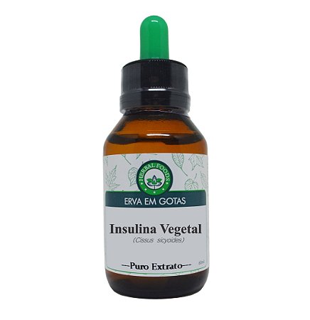 Insulina Vegetal - Extrato 60ml