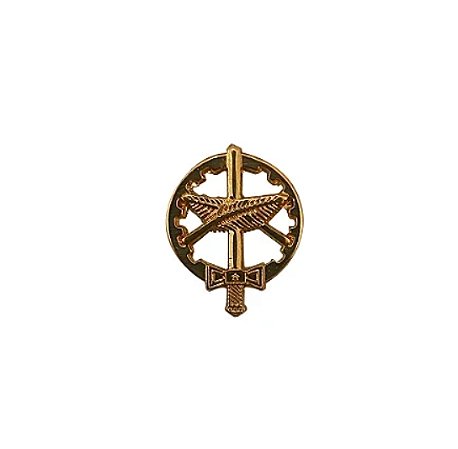 DISTINTIVO DE METAL QAO DE GOLA