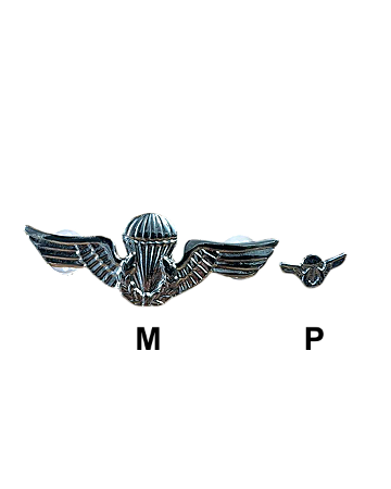 DISTINTIVO DE METAL ASAS DE PRATA