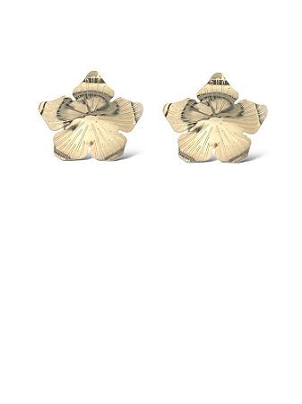 Brinco Folheado 18k Flor