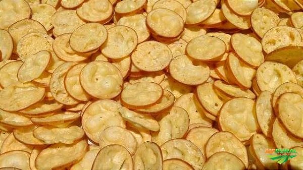 Chips de provolone desidratado 100g