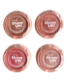 Blush Iluminador Shine Up Mahav