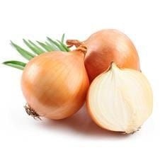 Cebola