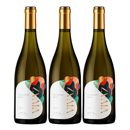 Kit Monte Agudo Vinho Branco Vivaz Sauvignon Blanc 2022