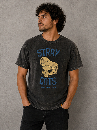 STRAY CATS