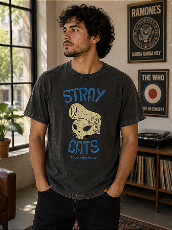 STRAY CATS