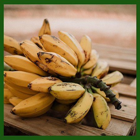 Banana Maça - Kg