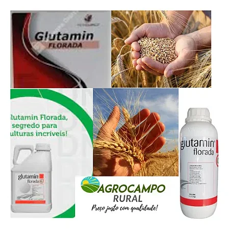 1 Litro Glutamin Florada Fertilizante Foliar Cálcio e Boro