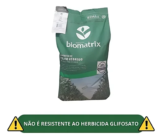 1.000 Sementes de Milho Biomatrix BTMax – Proteção contra Lagartas e Alta Produtividade | Safra 2025