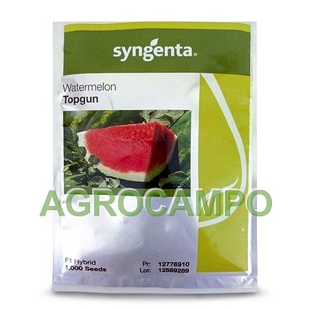 Sementes De Melancia Híbr. Syngenta Top Gun 1000 Sementes