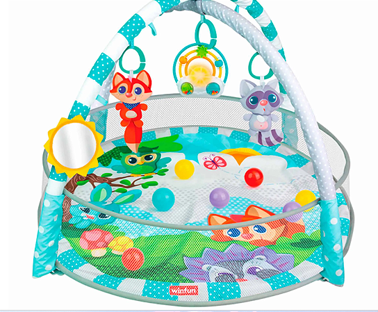 Ginasio de Atividades, com Piscina de Bolinhas - Winfun -