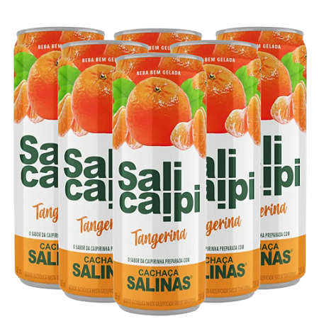 SALICAIP TANGERINA 355ML C/ 6 LATAS