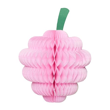 Rosa Tutti Frutti - Fruta Framboesa