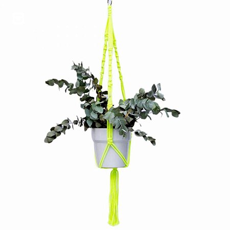 Hanger Neon