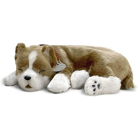 Perfect Petzzz Filhote Cachorro Pit Bull