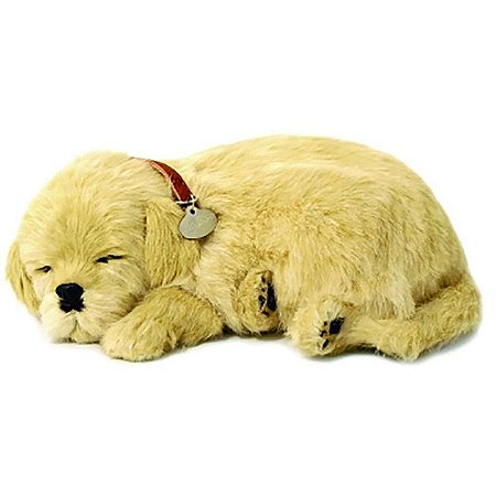 Perfect Petzzz Filhote Cachorro Labrador Retriever
