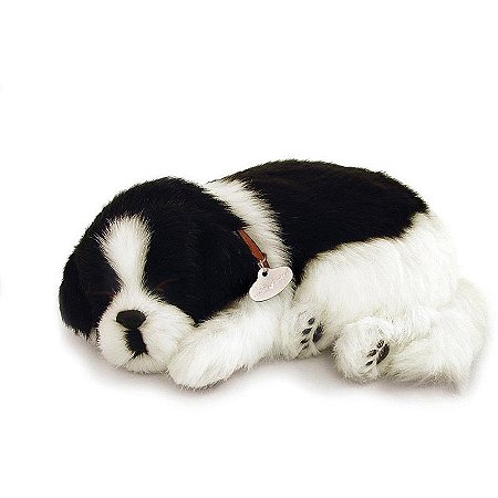 Perfect Petzzz Filhote Cachorro Border Collie
