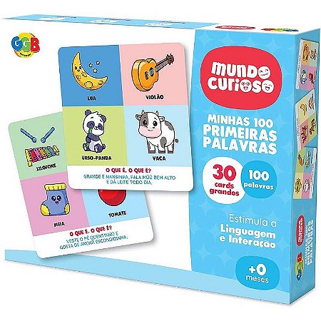 Brinquedo Pedagógico Minhas 100 Primeiras Palavras