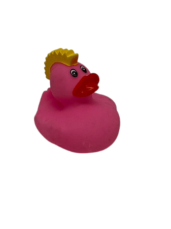Pato Moicano