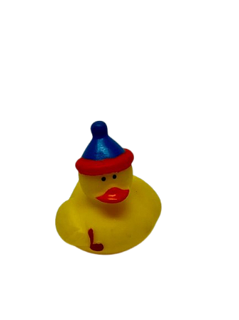 Pato touca azul