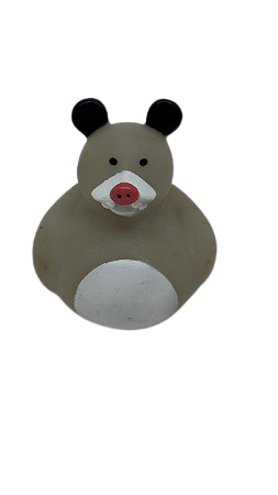 Pato Ratinho