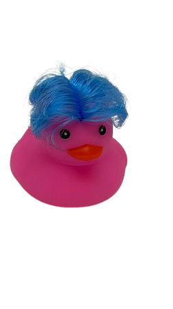 Pato Cabelo Azul