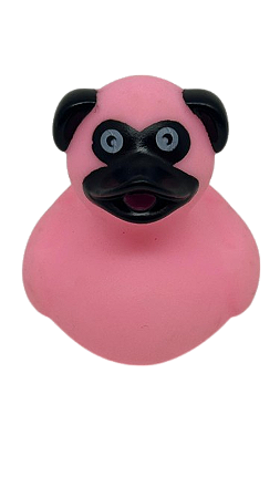 Pato Cachorrinho