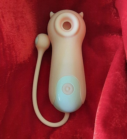 Sugador clitoriano é o brinquedo erótico mais pedido para o prazer feminino