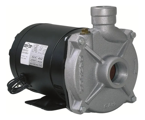 Bomba Centrifuga 220/380v Trifasica Dancor Cam-w16 3cv Cor P