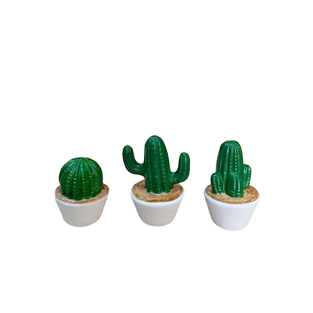 MINI TRIO DE CACTUS VERDE MUSGO