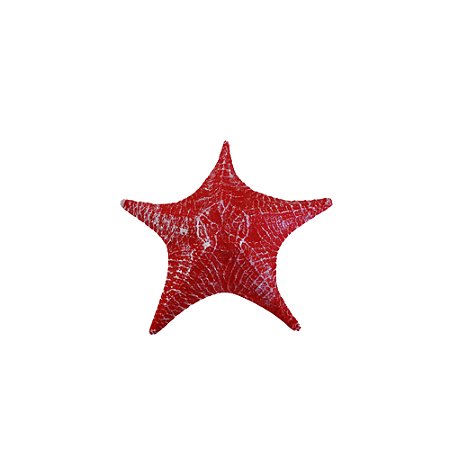 ESTRELA PRAIA VERMELHO