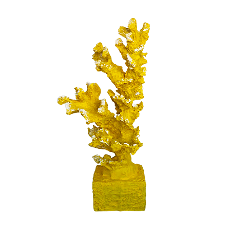 ALGA DE RESINA AMARELO