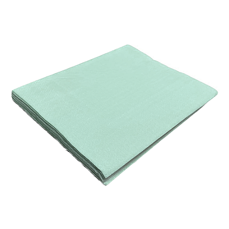 Guardanapo Liso Verde Água Papel Folha Dupla 20 fls 33x33