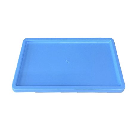 Bandeja Retangular Plastico Azul Bebe Decorações Festas