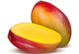 Manga palmer unidade