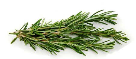 Alecrim  fresco 15 gramas