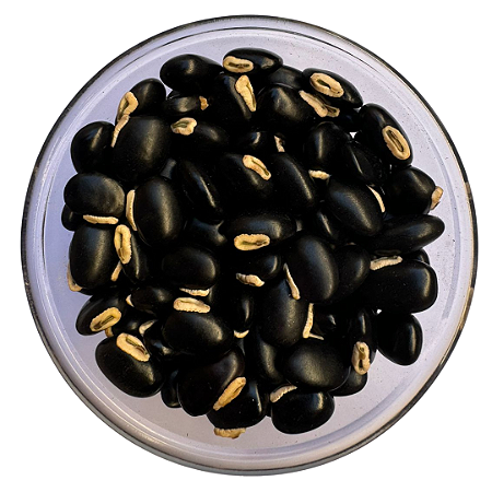 Sementes de Mucuna Preta