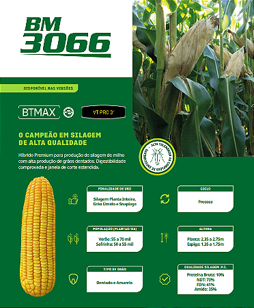 Semente Milho Hibrido 3066 BTMAX - 60.000 Sementes - Crotalaria Brasil