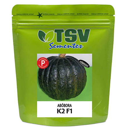 Sementes de Abóbora Híbrida Tetsukabuto K2 -100g - TSV