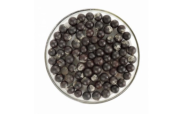Sementes de Saboneteiro (Sapindus saponaria) - Com 1 Kg