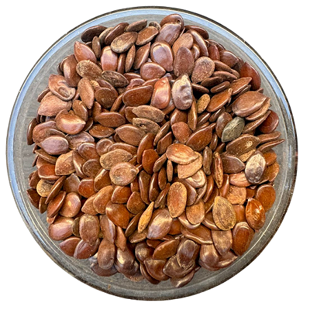 5.000 Sementes de Leucena