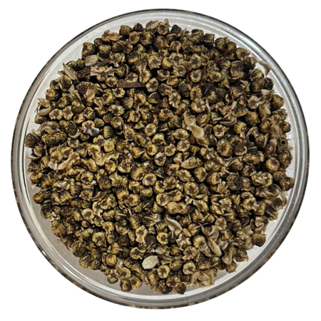 1kg Sementes de Aroeira Preta (Myracrodruon urundeuva Allemão)