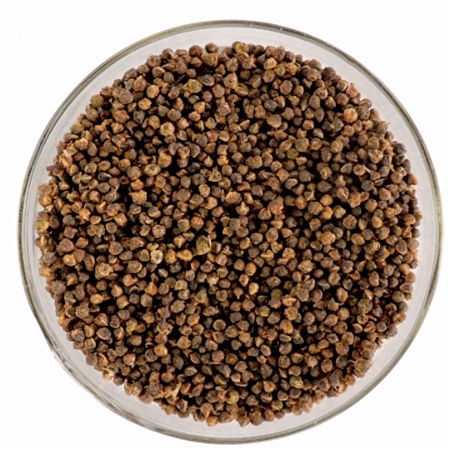 Sementes de Aroeira Preta (Myracrodruon urundeuva Allemão)