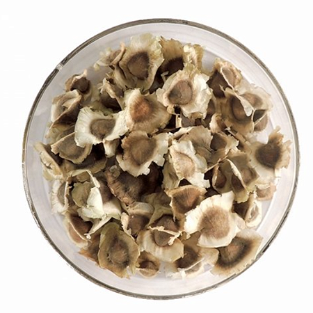 500 Sementes de Moringa